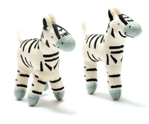 baby ziggy and small zebra